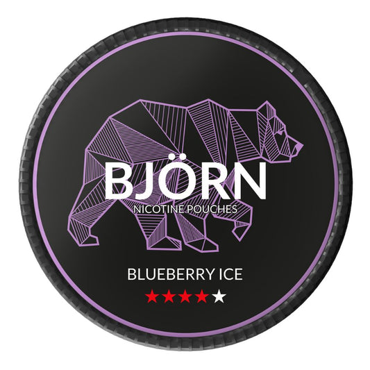 Woreczki nikotynowe Bjorn Blueberry Ice