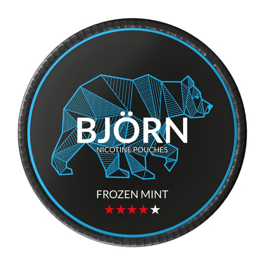 Woreczki nikotynowe Bjorn Frozen Mint