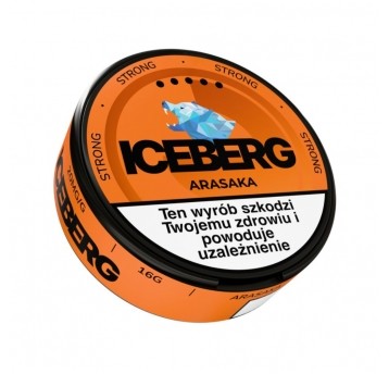 Woreczki nikot. Iceberg Arasaka 20mg
